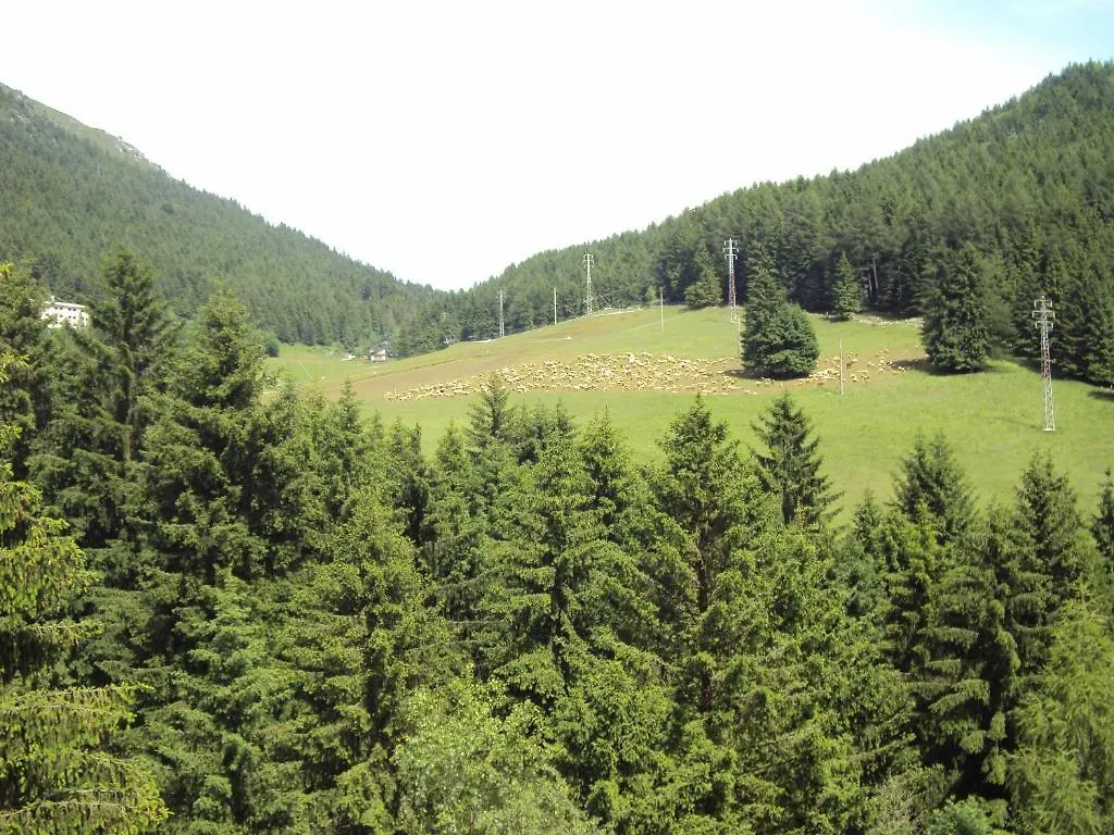 Hotel Des Alpes Castione della Presolana