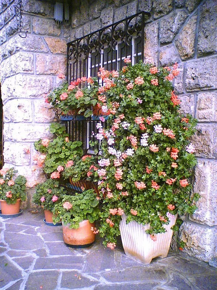 Hotel Des Alpes Castione della Presolana